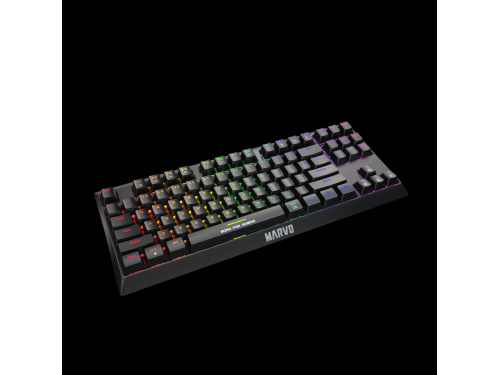 MARVO Scorpion KG953 TKL RGB Mechanical Keyboard USB Type-C - Rainbow LED - Blue Switch - Anti Ghost  87 key - MODEL : KG9353